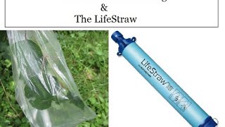 How to Collect Water for the LifeStraw
