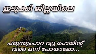 ഇടുക്കി ജില്ലയിലെ പരുന്തുംപാറ വ്യൂ പോയിന്റ് വരെ ഒന്ന് പോയാലോ.....#idukkiviewpoints