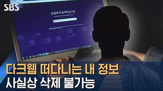 다크웹에 떠다니는 내 정보…사실상 삭제 불가능 / SBS