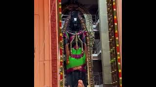 நங்கநல்லூர் ஸ்ரீ ஆஞ்சநேயர் கும்பாபிஷேகம்|Nanganallur Sri Anjaneyar Kumbabhishekam