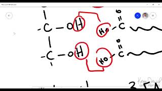 Biology 101 - Chapter 5.3 | Molecules of life - Lipids