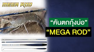 คันตกกุ้งบ่อ MEGA ROD | Adventure TAD