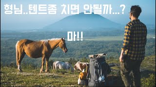 제주 오름 백패킹 | 이런 경험은 태어나서 처음 | 한국맞아 | 비화식 | 힐링전문영상