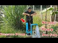 Free Energy pump | I turn PVC pipe into high speed water pump from deep well 100% work