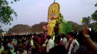 Kozhimamparambu Pooram - 2012 - Kuttankulangara Arjunan