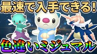 【ポケモンsv 色違いミジュマル＆ダイケンキ】色違いミジュマルをプレゼント！色違いミジュマルとダイケンキ色違い厳選方法!!!