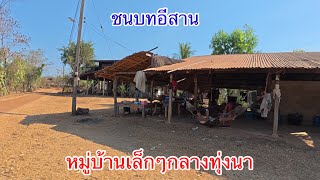 ชนบทอีสาน | หมู่บ้านเล็กๆกลางทุ่งนา บรรยากาศวิถีสานเก่าๆเงียบสงบ ชาวบ้านใจดี