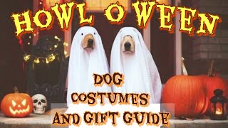 DOG AND CAT HALLOWEEN COSTUMES | GIFT GUIDE | HOWL-O-WEEN HAUL | PET COSTUMES | CHEWY DOG | PUMPKIN