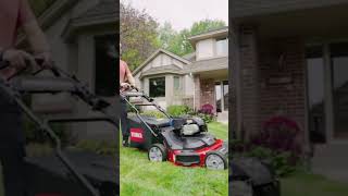 Best Lawn Mowers for 2024: Grass Cutting Champions