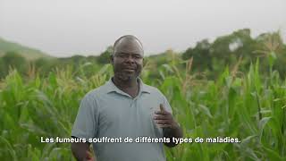 Champion de la santé : Titus Mwanza, agriculteur, Zambie
