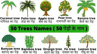 Trees names in English and Hindi with Pictures| पेड़ों के नाम | Trees Vocabulary| Names of Trees List