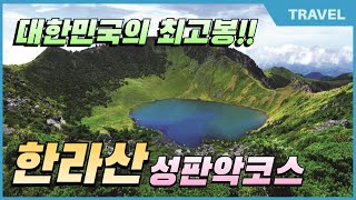 한라산 성판악 코스 완벽 등산 가이드 | 대한민국 최고봉 도전 #한라산 #성판악코스 #한라산등산