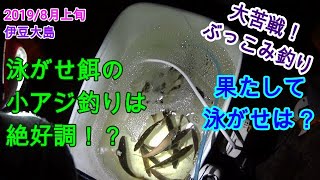 【2019年8月】伊豆大島・ぶっこみ＆泳がせ釣りと小アジ釣り