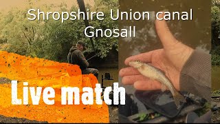 Live match fishing on the Shropshire Union canal at Gnosall