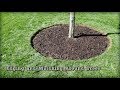 Edging and Mulching Around Trees - How To Redefine An Edge