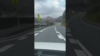 【iPhone14pro 広角撮影　倍速編集】R56 愛媛県　南宇和郡　愛南町　一本松