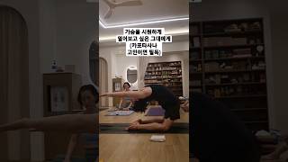 [무이스요가] 시원하게 가슴열기 #요가 #하타요가 #쇼츠 #yoga #hathayoga #shorts