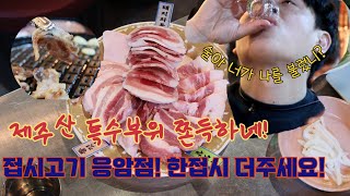 은평맛집 제주산 특수부위를 세트로 먹는 접시고기 뽀개기