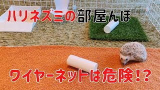 【ハリネズミの部屋んぽ】100均ワイヤーネットでサークル作ってみた！