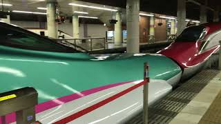 ＪＲ東日本（新幹線）上野駅２１番線／はやて１１４号　東京行き】新幹線他連続発着動画