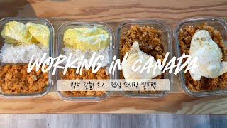 [Eng] 🇨🇦Canada Office worker Vlog | I got hired! Meal prep for lunch box, Happy life with cats