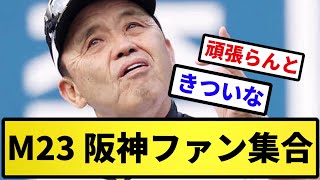 【さすがに集合】M23 阪神ファン集合 【反応集】【プロ野球反応集】【2chスレ】【5chスレ】