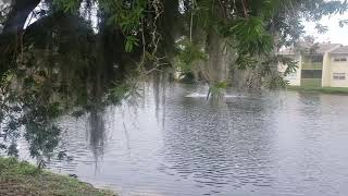 Tarpon Springs, Florida - Hurricane Ian on its way out