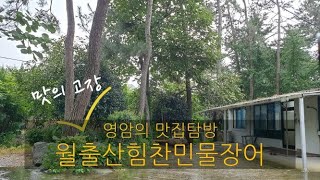 [앙또꼬숑] 월출산힘찬민물장어/영암 장어구이 먹방/영암맛집탐방