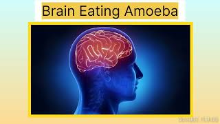 Rare Brain Eating Amoeba Disease #science #health #tamil #news