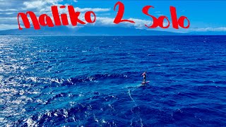 Solo Maliko Run | Sup Foil Downwinding