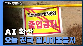 전국적 AI 발생...오늘 하루 전국 가축 일시 이동중지 / YTN