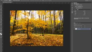 Micsorare set de imagini in Adobe Photoshop prin aplicarea unui action