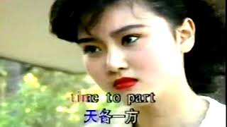 翠堤春曉   (當我們年輕時) - 演奏