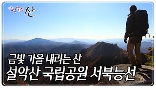 하늘을 가르는 바람이 차가워 질수록 더욱 뜨겁게 타오르는 가을 설악 [영상앨범 산] KBS 221106 방송