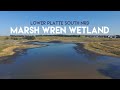 Marsh Wren Saline Wetlands: Restoring & Conserving