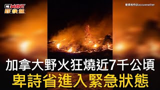 CTWANT 國際新聞 / 加拿大野火狂燒近7千公頃  卑詩省進入緊急狀態