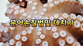 생물 🐙 문어 손질법과 데치는법 부드럽고 땡글탱글한 식감 문어 🐙  비법공개