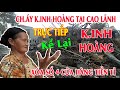 CHẤN ĐỘNG CAO LÃNH CHÁY LỚN K.INH HOÀNG LỬA BÓC LÊN CAO HÀNG 100 MÉT XÓA SỔ NHIỀU CỬA HÀNG TIỀN TỈ