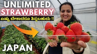 Delicious !! We visited a strawberry picking farm in Japan to eat unlimited Japanese strawberries 🍓