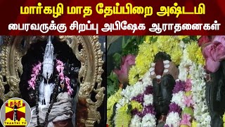 மார்கழி மாத தேய்பிறை அஷ்டமி - பைரவருக்கு சிறப்பு அபிஷேக ஆராதனைகள் | Karur