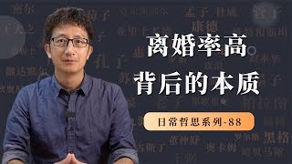 社会离婚率创新高，结婚率创新低，背后的真相【小播读书】