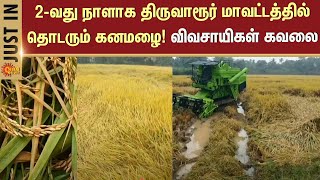 Thiruvarur Farmers Sad | Heavy Rain Delta | Weather Report | Sun News