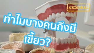 ทำไมบางคนถึงมีเขี้ยว? | รู้หรือไม่ - DYK