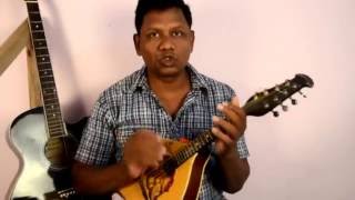 how to practice D -scale on Mandolin in hindi/ learn mandolin/ mandolin open position D-scale