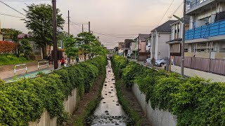 Live Tokyo Walk - Kaminoge Neighbourhood 上野毛散歩