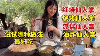 仙人掌能吃吗？妹子用不同的烹饪方法制作，看看哪种做法最好吃