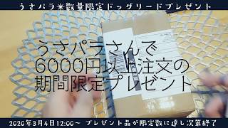 うさパラ✴期間限定プレゼント！ドッグリードがすごく素敵なの！イタグレ・アリス