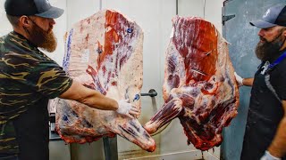 Butchering & Smoking a Beef Brisket vs Bison Brisket | The Bearded Butchers