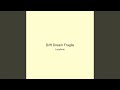 Drift Dream Fragile