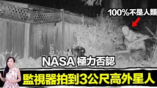 最新消息！美國員警拍到飛碟墜毀，多名民眾親眼見到3公尺外星人！藍皮書計劃揭露，史上最勁爆的外星人事件，一次揭露！ | 馬臉姐